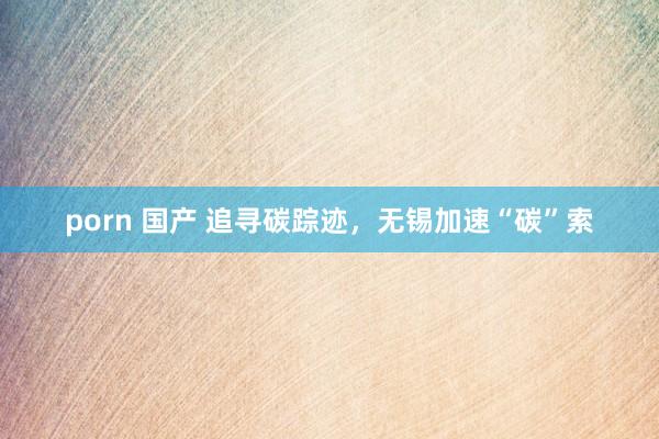 porn 国产 追寻碳踪迹，无锡加速“碳”索
