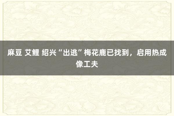 麻豆 艾鲤 绍兴“出逃”梅花鹿已找到，启用热成像工夫