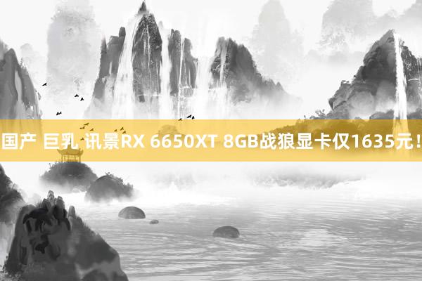 国产 巨乳 讯景RX 6650XT 8GB战狼显卡仅1635元！