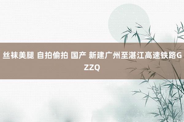 丝袜美腿 自拍偷拍 国产 新建广州至湛江高速铁路GZZQ
