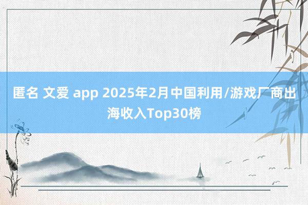 匿名 文爱 app 2025年2月中国利用/游戏厂商出海收入Top30榜